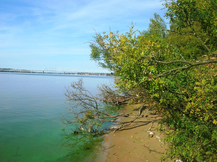 Вид с левого берега. Вода цветёт Кострома, Россия