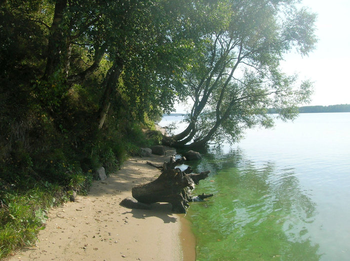 Вдоль берега Кострома, Россия