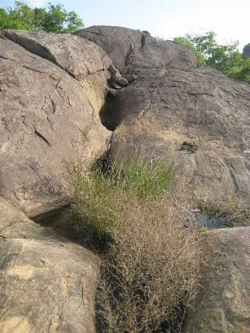 Сафари в Hurulu Eco Park Центральная провинция, Шри-Ланка