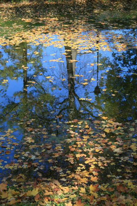 Осень в Царско-Сельских парках Пушкин, Россия
