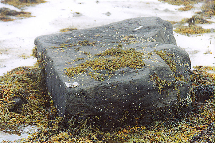 Жертвенный камень Кемь, Россия