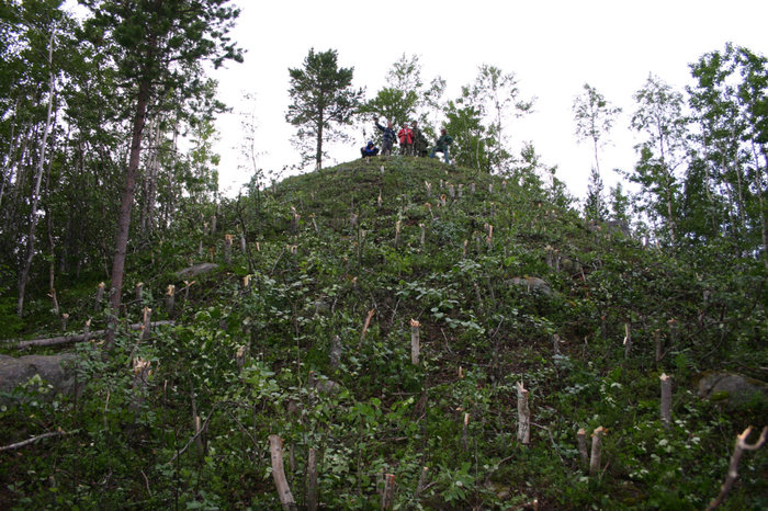 Очистка Лесной пирамиды от деревьев Кемь, Россия