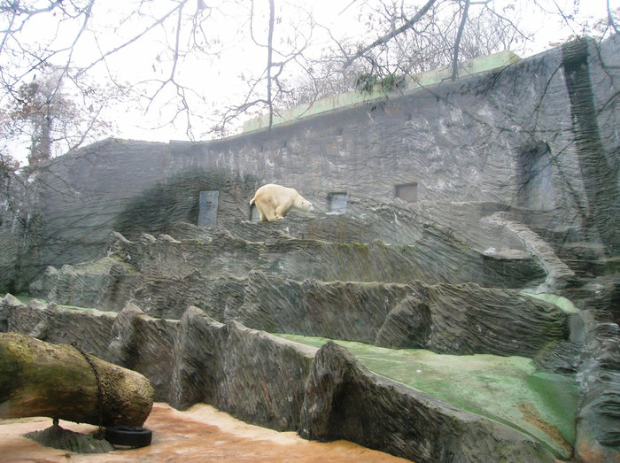 Зоопарк Прага, Чехия
