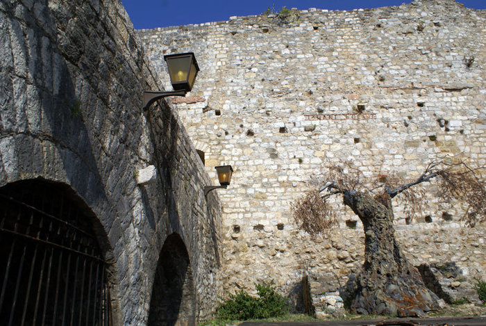 Стена и дерево в крепости Улцинь, Черногория