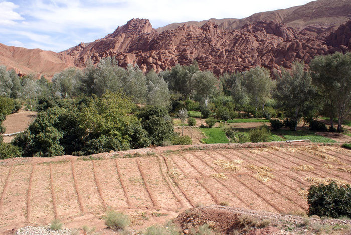 Вспаханное, но не засеянное поле Бульман, Марокко