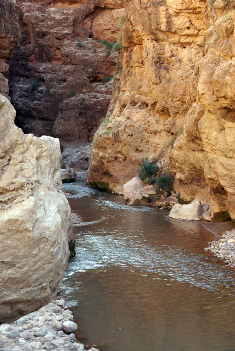 Река на дне каньона Бульман, Марокко