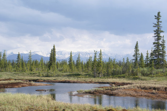 Типичный пейзаж Штат Аляска, CША