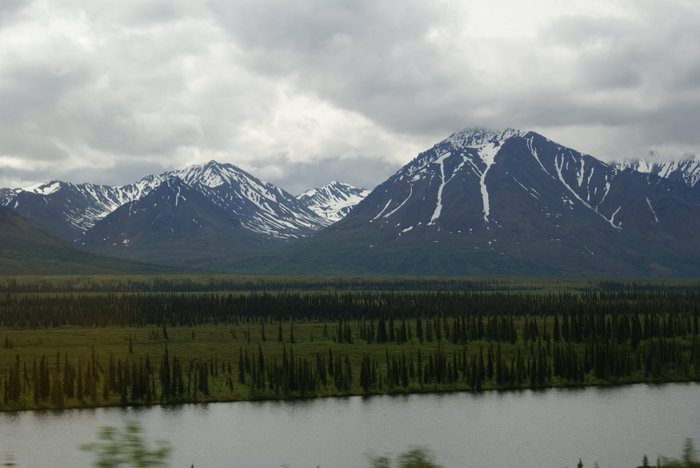 Дорога Национальный Парк Денали-Талкитна Штат Аляска, CША