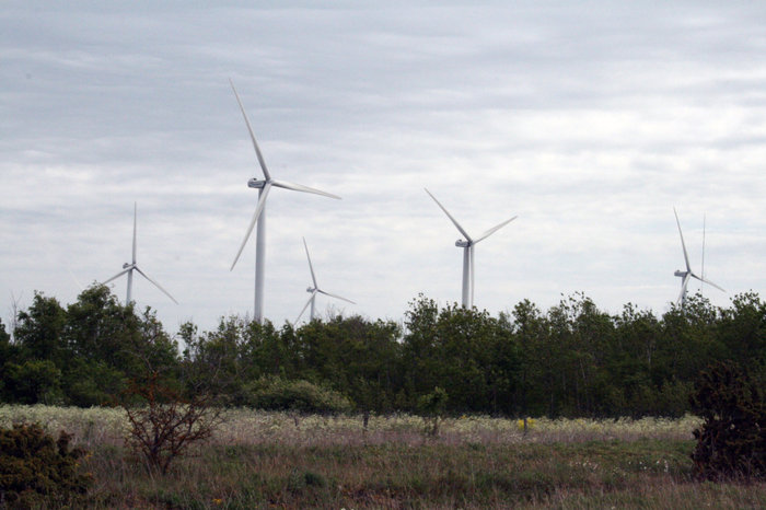 ветряки в Палдиски Палдиски, Эстония