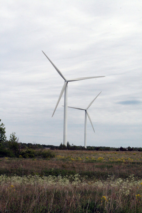 ветряки в Палдиски Палдиски, Эстония