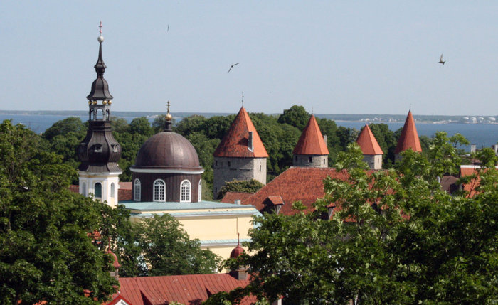 черепица таллинских крыш Таллин, Эстония
