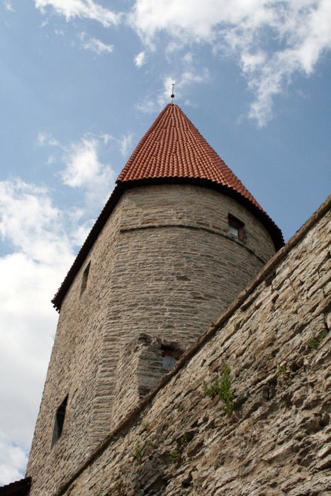 башня Старого города Таллин, Эстония