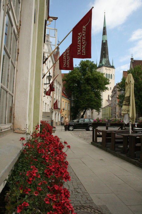 улица Старого Таллина Таллин, Эстония