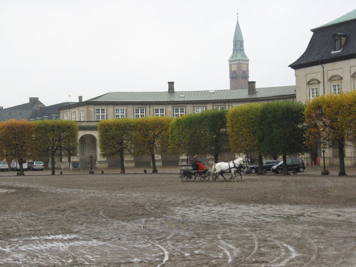 королевские конюшни дворца Христиансборг Копенгаген, Дания