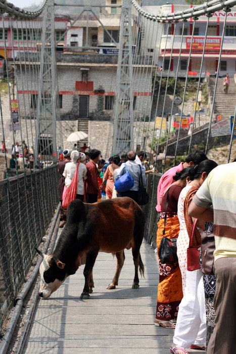 оживленная жизнь на мосту Лакшман-Джула Ришикеш, Индия