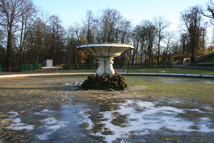 Парный фонтан Чаша Петергоф, Россия