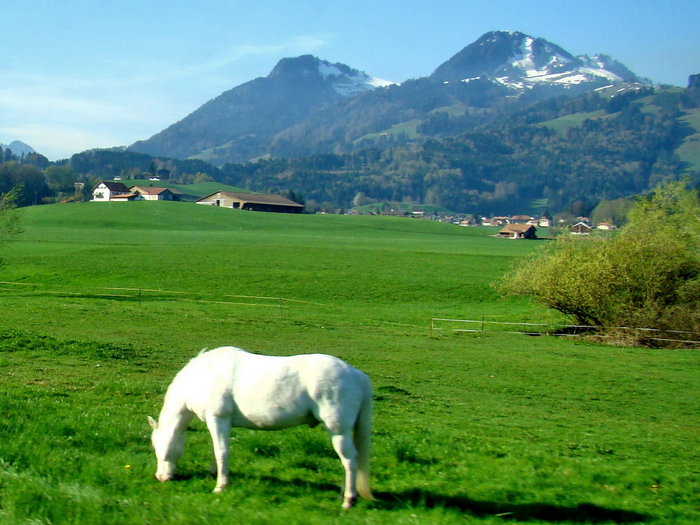 пейзажи Швейцарии Швейцария