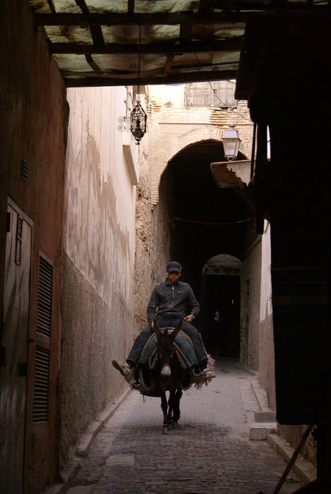 Верхом на осле Фес, Марокко