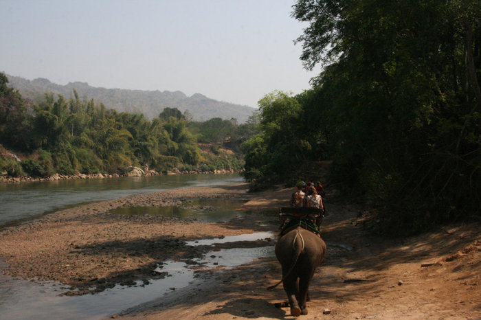 Слоновья деревня Сай-Йок / Sai Yok Elephant Village