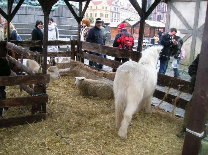 Рождественская ярмарка Прага, Чехия