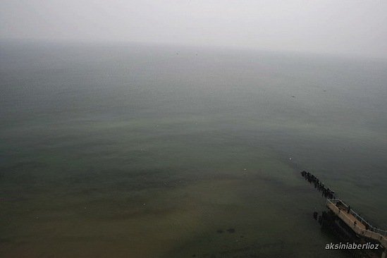 Балтийской море  Вид со смотровой площадки  Светлогорск Светлогорск, Россия