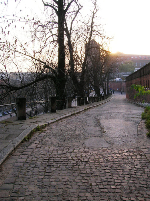 Вавель Краков, Польша