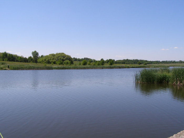 Курорт — Ворзель Киевская область, Украина