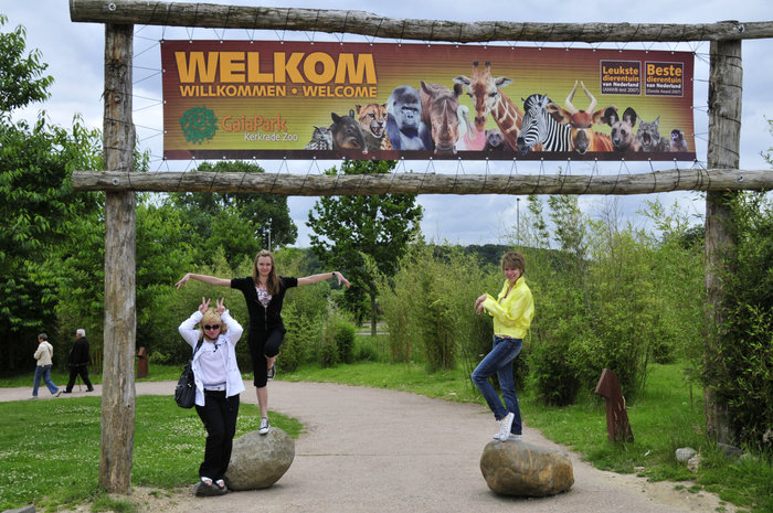 Зоопарк в Лимбурге( Gaia Park) Керкраде, Нидерланды