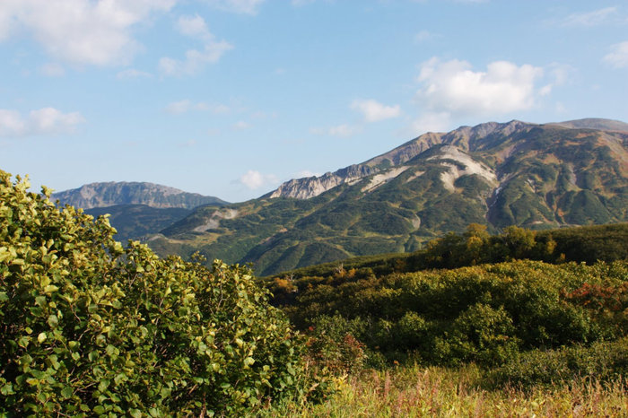 Петропавловск-Камчатский Петропавловск-Камчатский, Россия