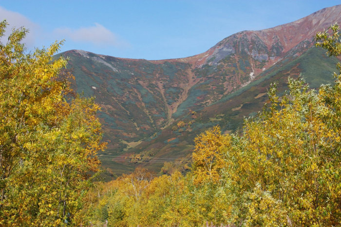 Петропавловск-Камчатский Петропавловск-Камчатский, Россия