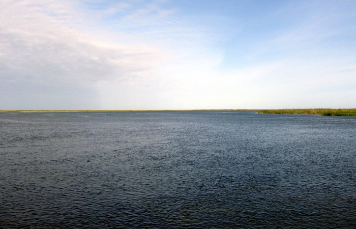 Дельта Волги Астраханский Биосферный Заповедник в дельте Волги, Россия