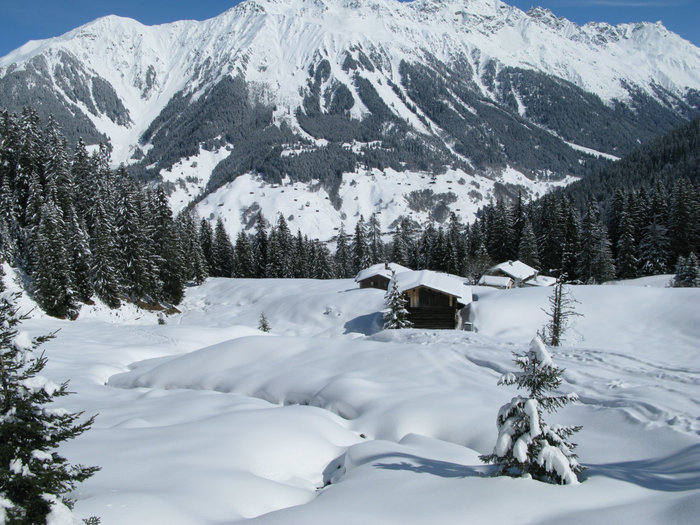 Швейцарские Альпы  и чистый горный воздух