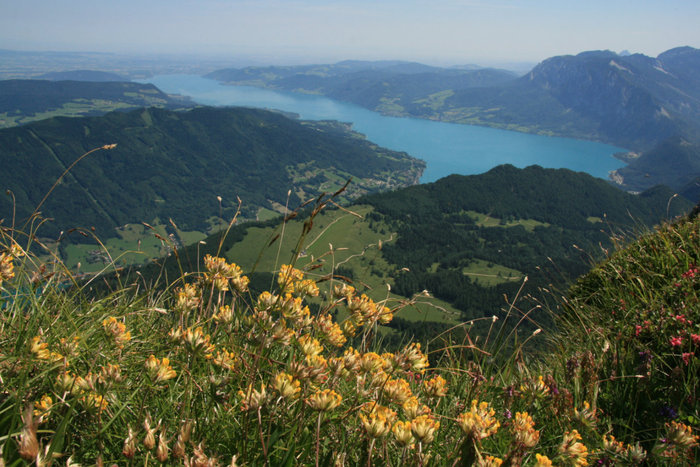 панорама с горы Шафберг Санкт-Вольфганг, Австрия