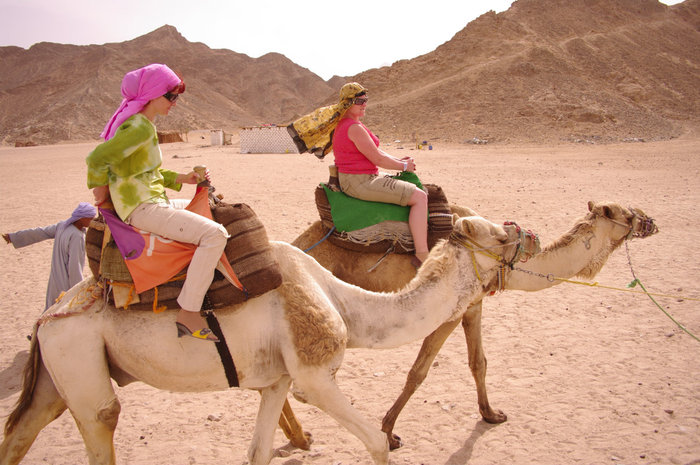 Сахара, верблюды и бедуины - правила выживания! Хургада, Египет