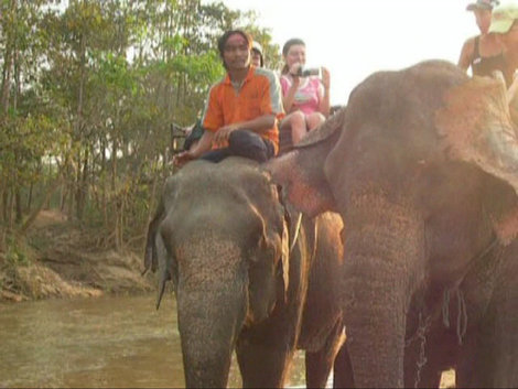 Слоновья деревня Таиланд