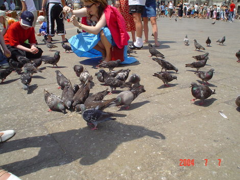 Знаменитые венецианские голуби Венеция, Италия