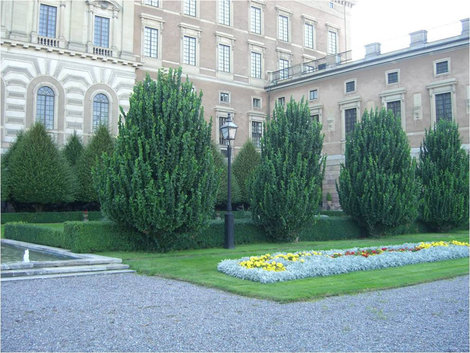 Садик при дворце Стокгольм, Швеция
