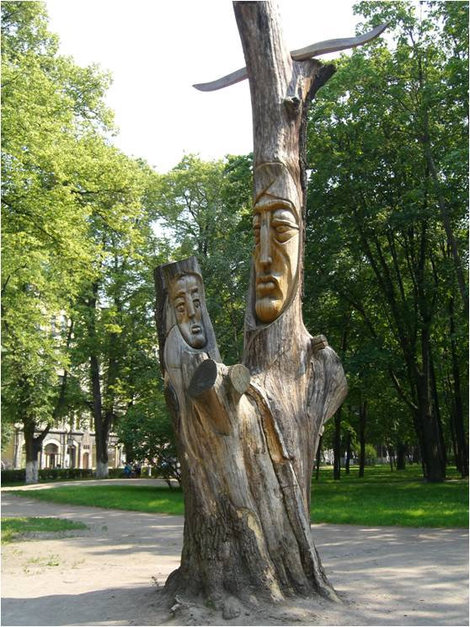 Интересные деревья Выборг, Россия