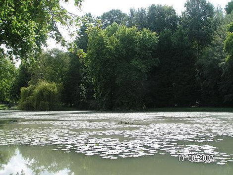 Живописный пруд Шеверни, Франция