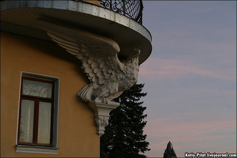 Орел под балконом Кирицы, Россия