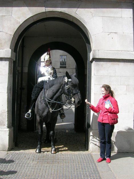 Общаюсь с лошадью королевского конного стража Лондон, Великобритания