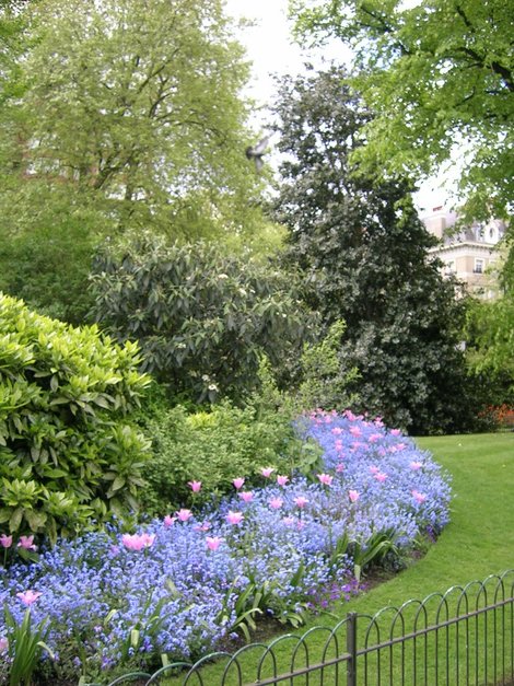 Несколько клумб из Кенсингтонских садов: раз... Лондон, Великобритания