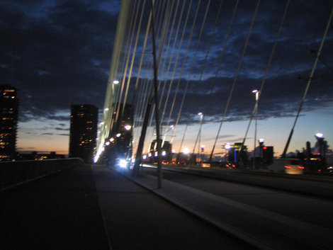 На мосту Роттердам, Нидерланды