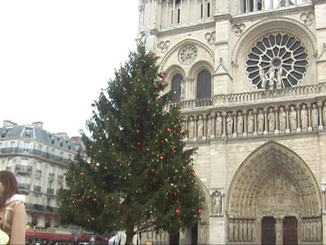 Фасад собора Париж, Франция