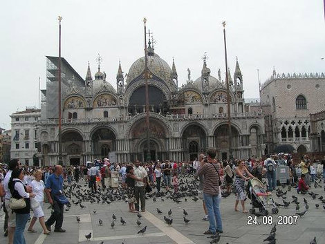 Среди голубей и людей Венеция, Италия