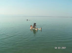 Классический снимок с Мёртвого моря