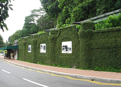 Зеленая остановка с другой стороны Сингапур (город-государство)