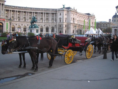 Без лошадей тут, конечно же, никак Вена, Австрия