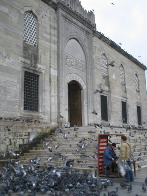 Набережные Босфора — любимые места обывания многочисленных стамбульских голубей Стамбул, Турция