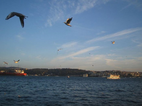 Босфор: на одной стороне Азия, на другой — Европа Стамбул, Турция